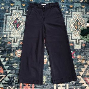Everlane Wide Leg Crop Pant in Navy